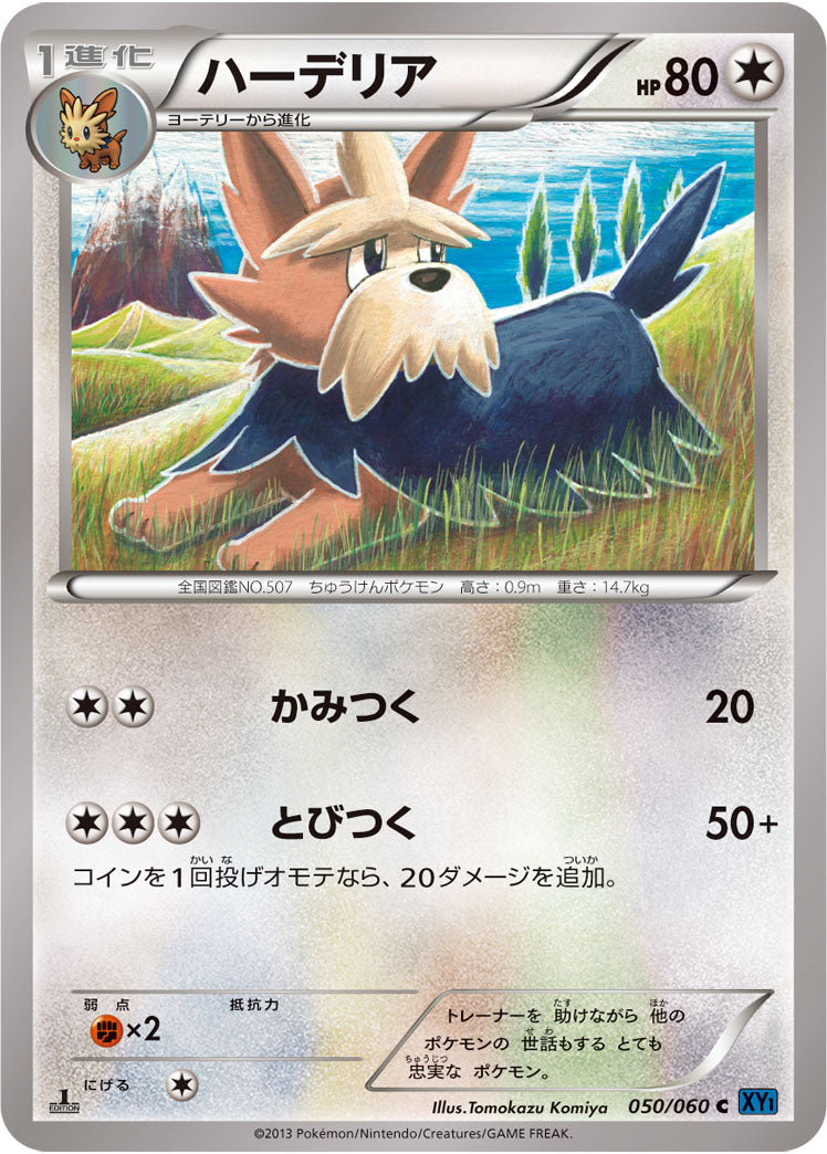 ハーデリア（050/060）［-］
