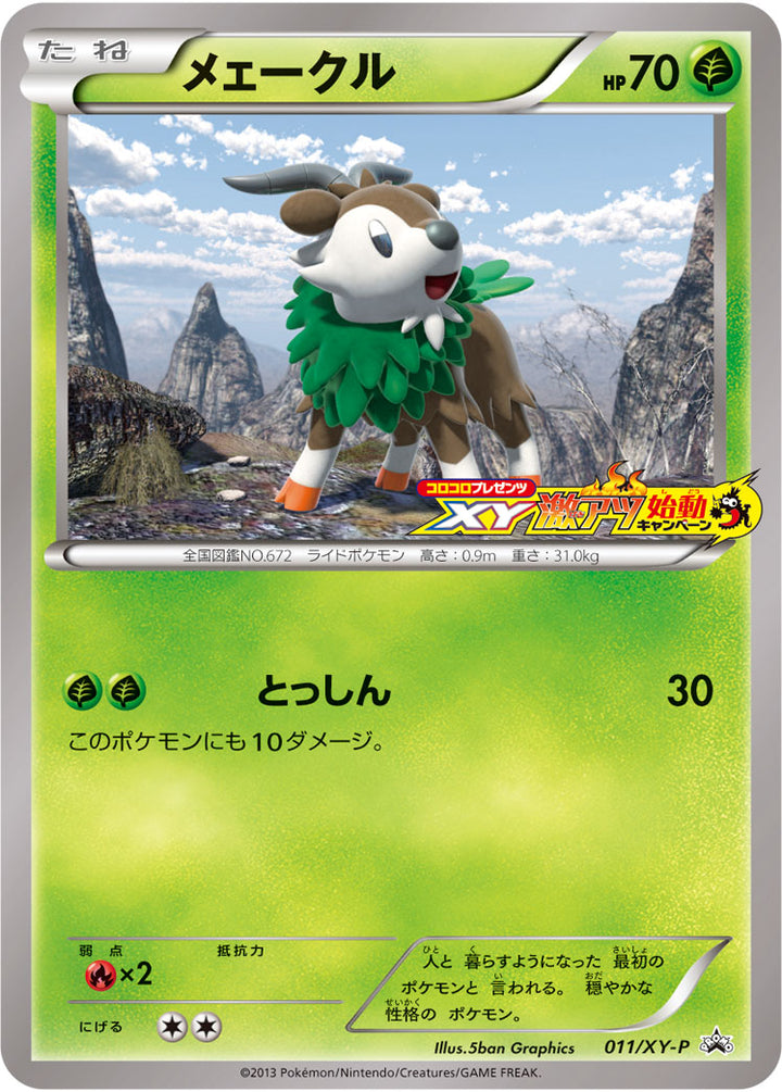 メェークル（011/XY-P）［-］