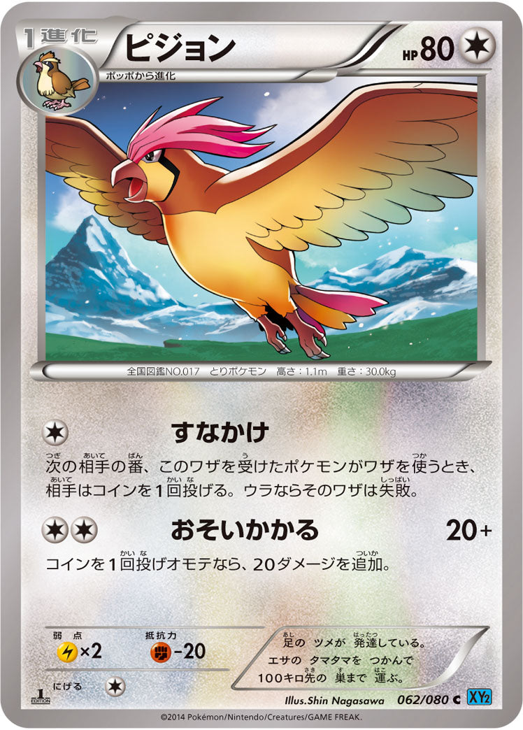 ピジョン（062/080）［-］