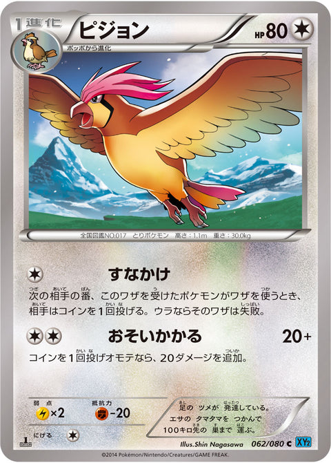 ピジョン（062/080）［-］