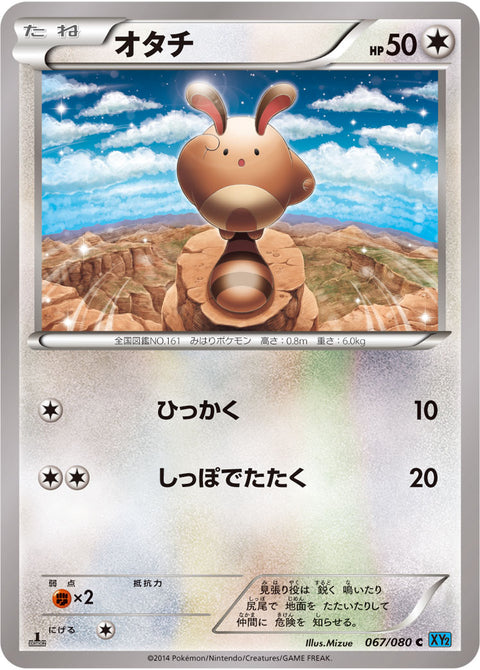 オタチ（067/080）［-］