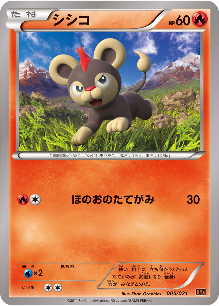 シシコ（005/021）［-］