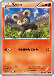 シシコ（005/021）［-］