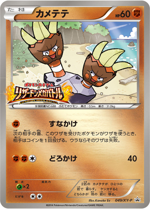 カメテテ（049/XY-P）［-］