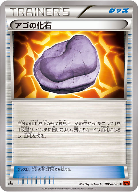 アゴの化石（085/096）［-］