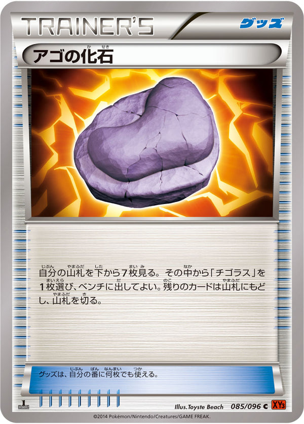 アゴの化石（085/096）［-］