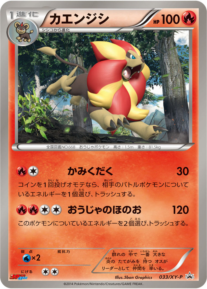 カエンジシ（033/XY-P）［-］