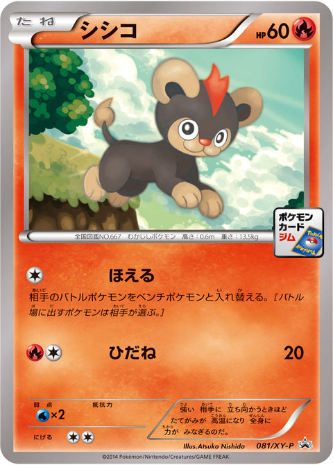 シシコ（081/XY-P）［-］