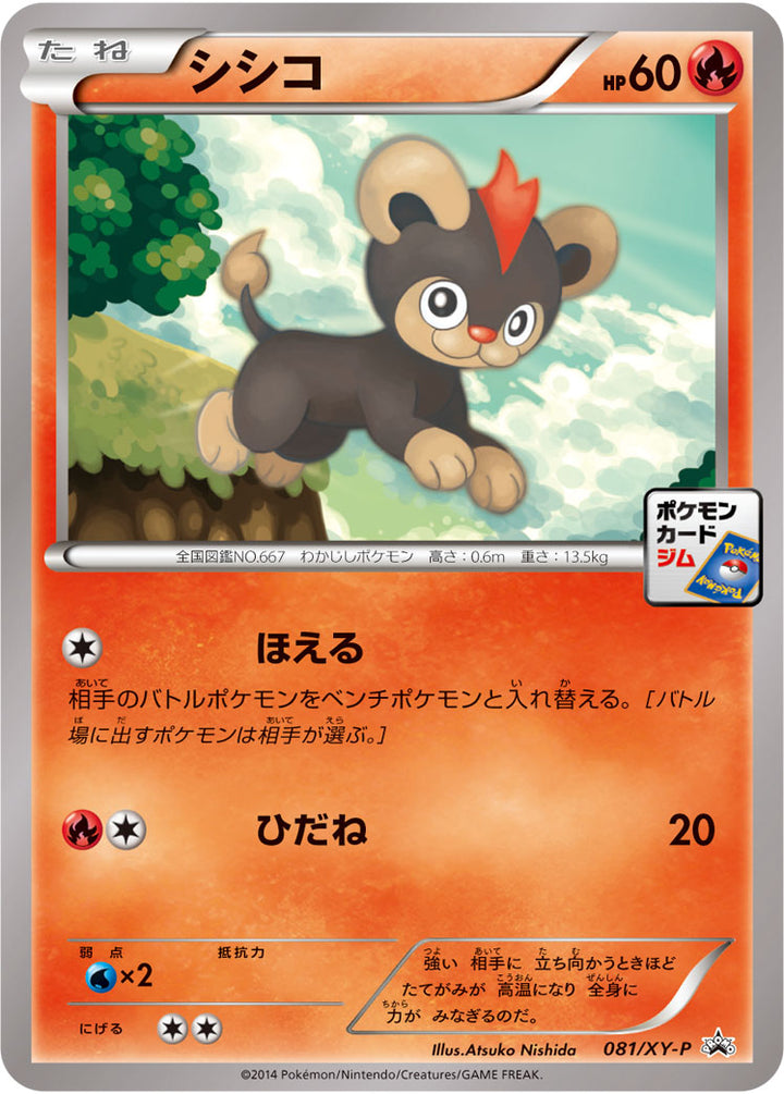 シシコ（081/XY-P）［-］