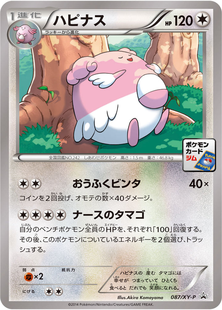 ハピナス（087/XY-P）［-］