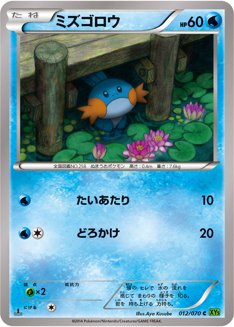 ミズゴロウ（012/070）［-］