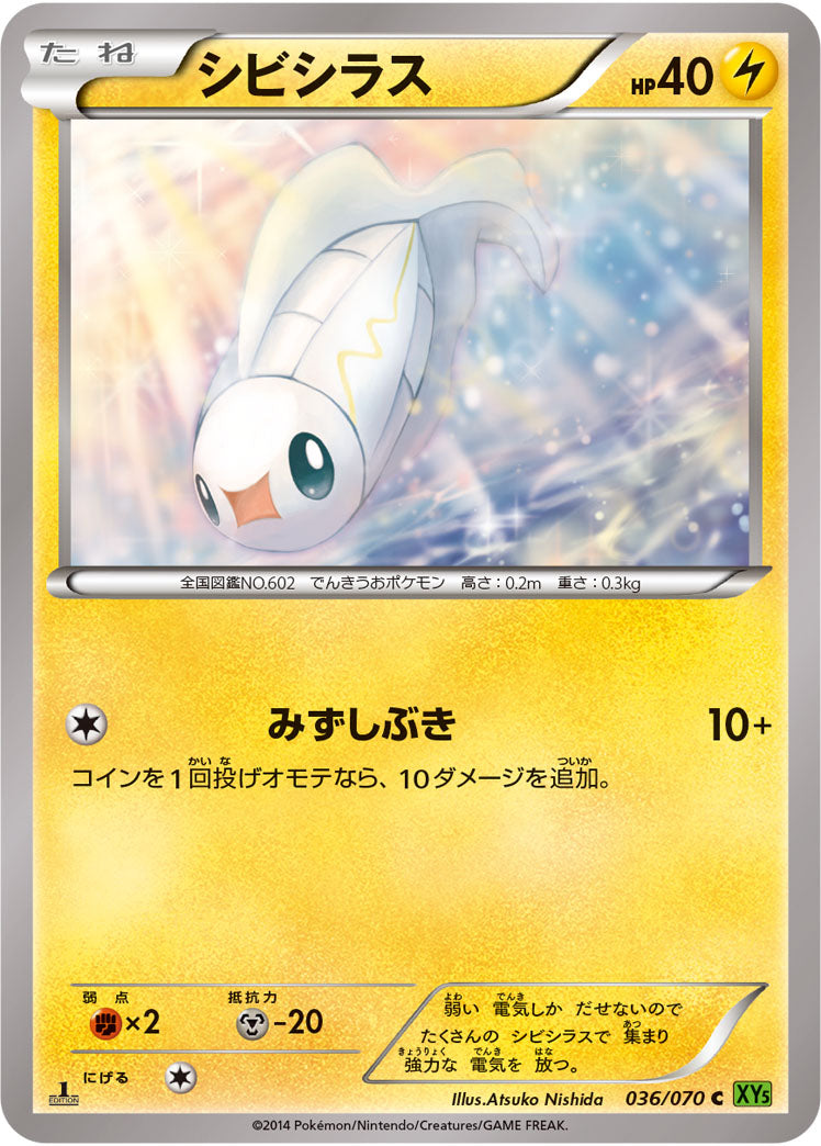 シビシラス（036/070）［-］