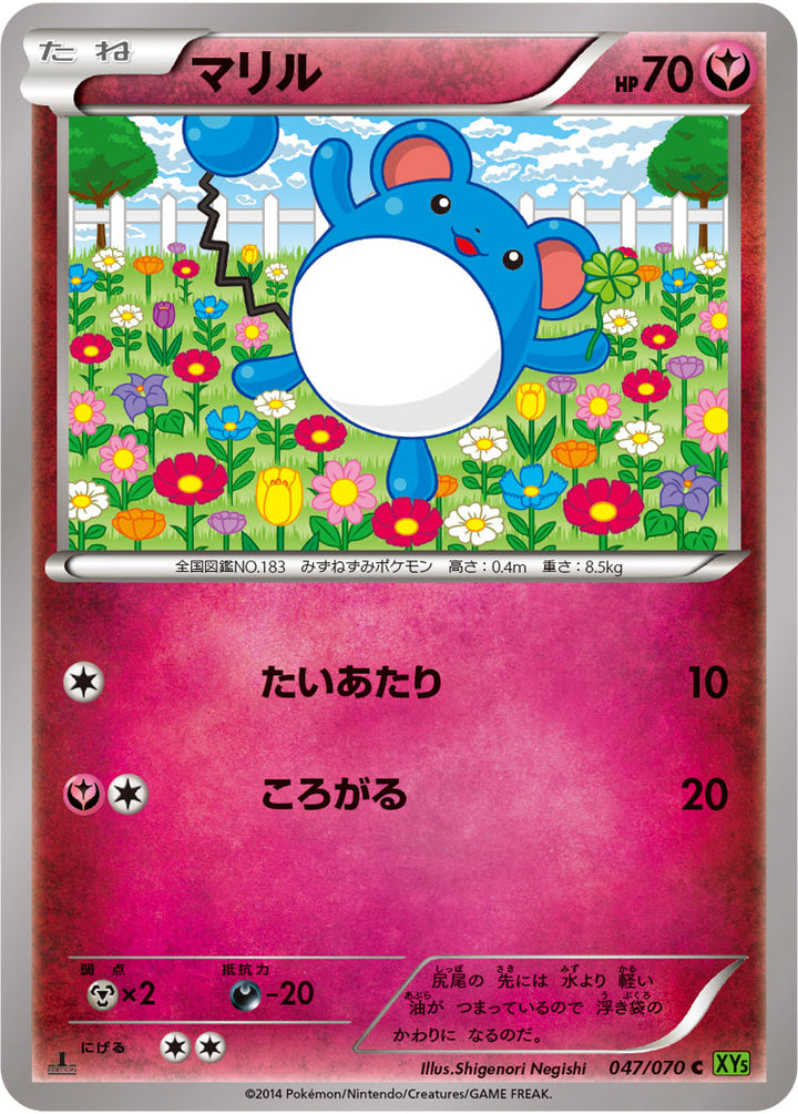 マリル（047/070）［-］
