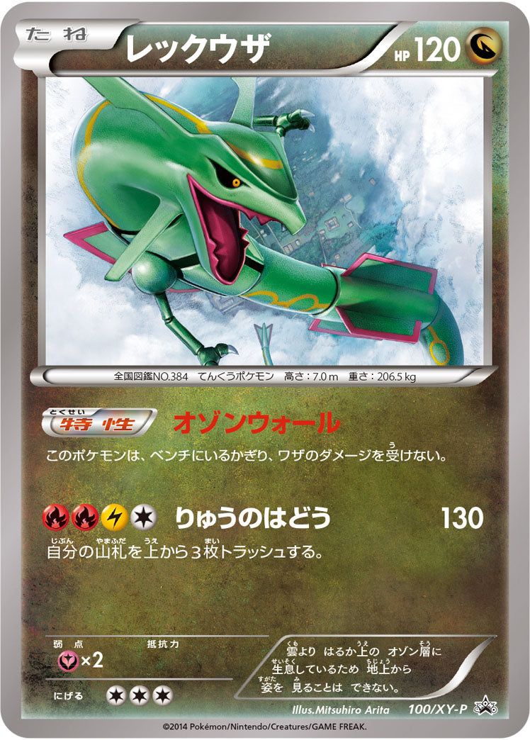 レックウザ（100/XY-P）［-］