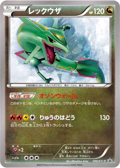 レックウザ（100/XY-P）［-］