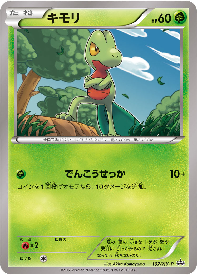 キモリ（107/XY-P）［-］
