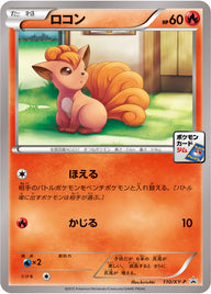 ロコン（110/XY-P）［-］
