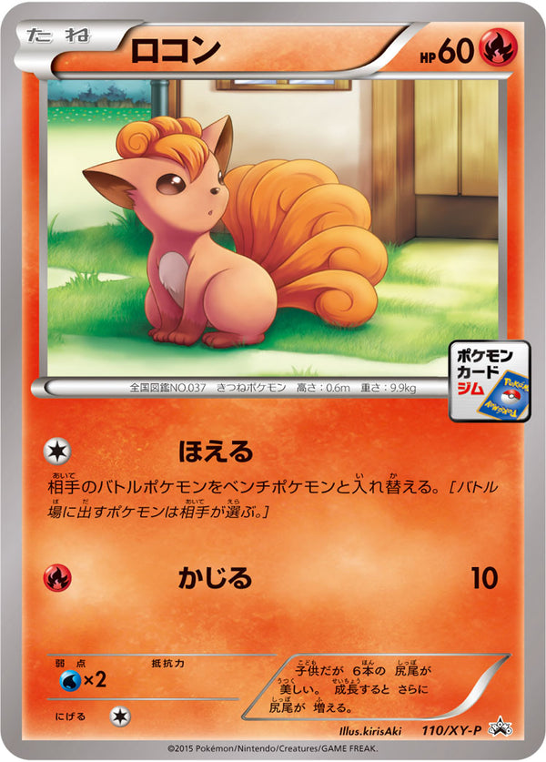 ロコン（110/XY-P）［-］