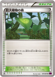 巨大植物の森（079/081）［-］