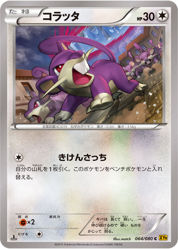 コラッタ（064/080）［-］