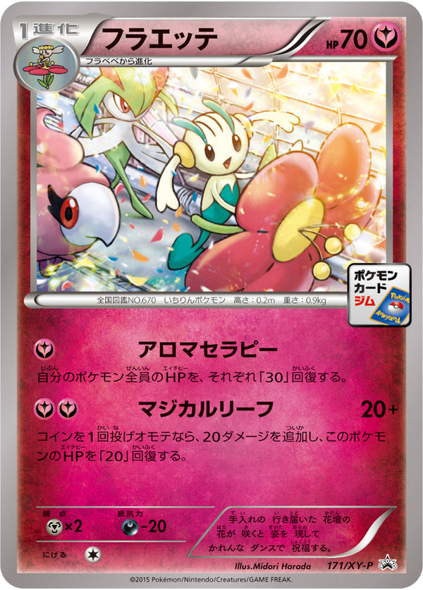 フラエッテ（171/XY-P）［-］