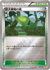 巨大植物の森（127/131）［-］
