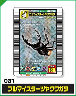 ブルマイスターツヤクワガタ（031）［銀レア］