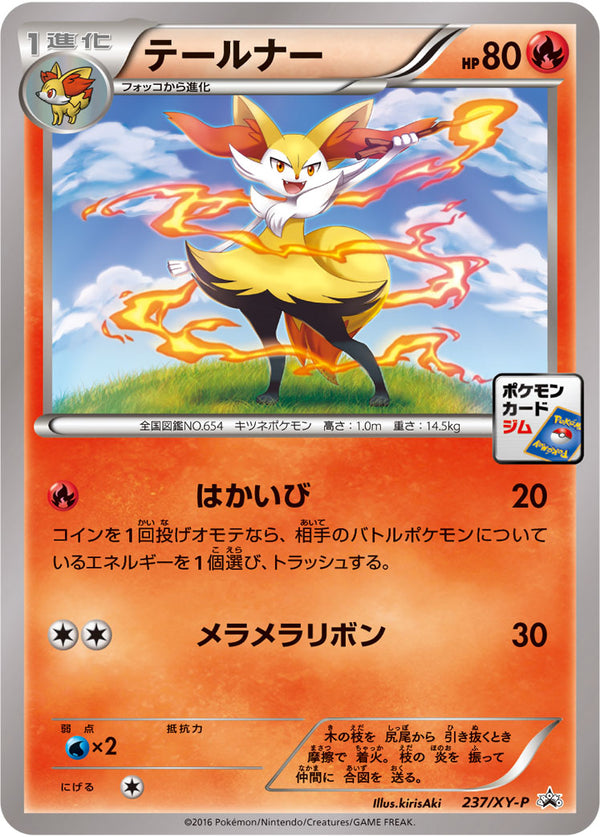 テールナー（237/XY-P）［-］