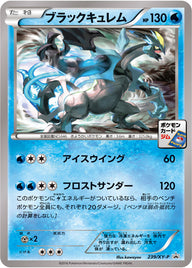 ブラックキュレム（239/XY-P）［-］