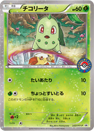 チコリータ（222/XY-P）［-］