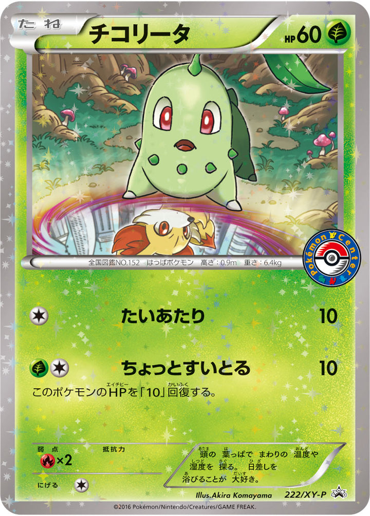 チコリータ（222/XY-P）［-］