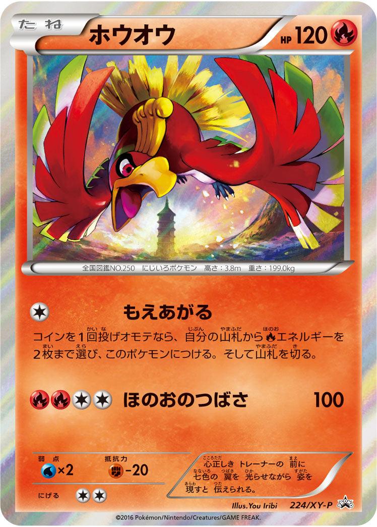 ホウオウ（224/XY-P）［-］