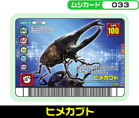 ヒメカブト（033）［未確定］