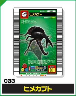 ヒメカブト（033）［未確定］