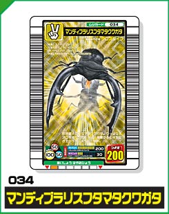 マンディブラリスフタマタクワガタ（034）［金レア］