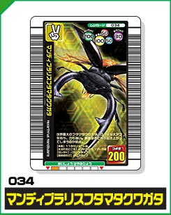 マンディブラリスフタマタクワガタ（034）［金レア］