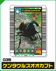 ケンタウルスオオカブト（035）［未確定］