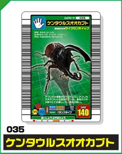 ケンタウルスオオカブト（035）［未確定］