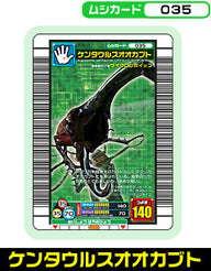 ケンタウルスオオカブト（035）［未確定］