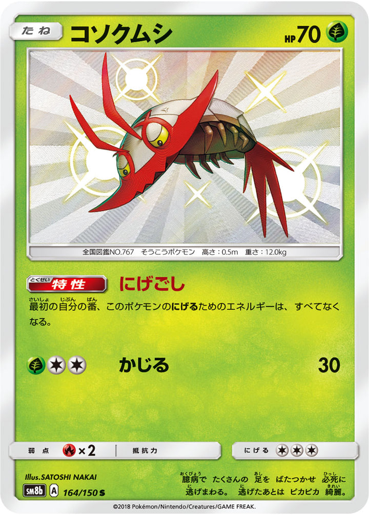 コソクムシ（164/150）［-］