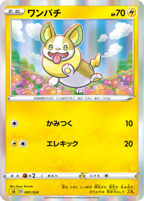 ワンパチ（007/024）［-］