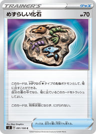 めずらしい化石（091/100）［-］