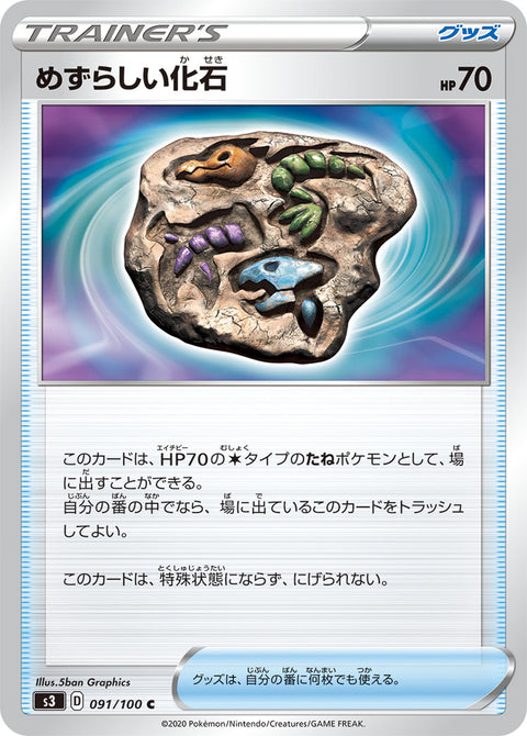 めずらしい化石（091/100）［-］