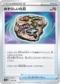 めずらしい化石（165/190）［-］