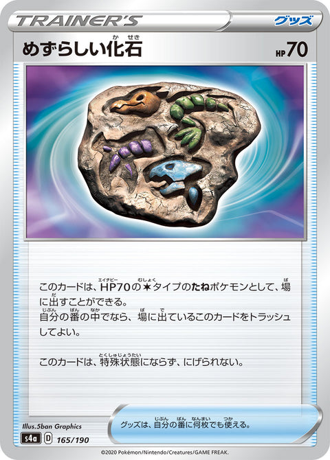 めずらしい化石（165/190）［-］