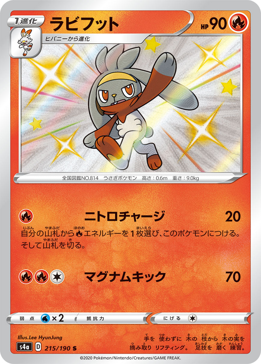 ラビフット（215/190）［-］