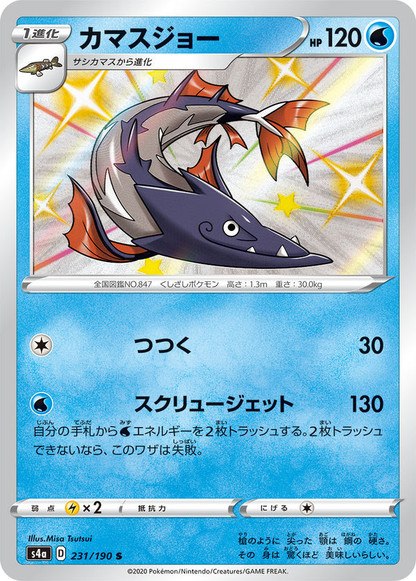 カマスジョー（231/190）［-］
