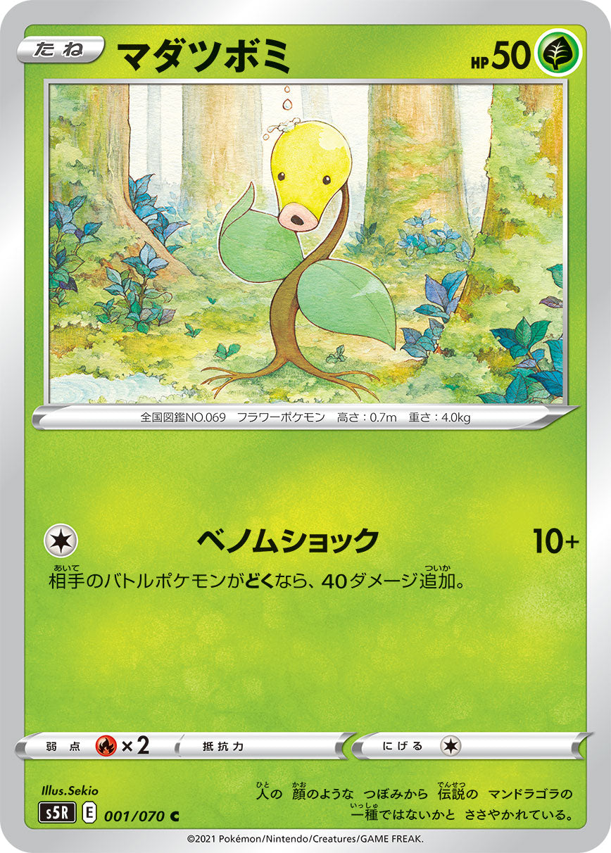 マダツボミ（001/070）［-］