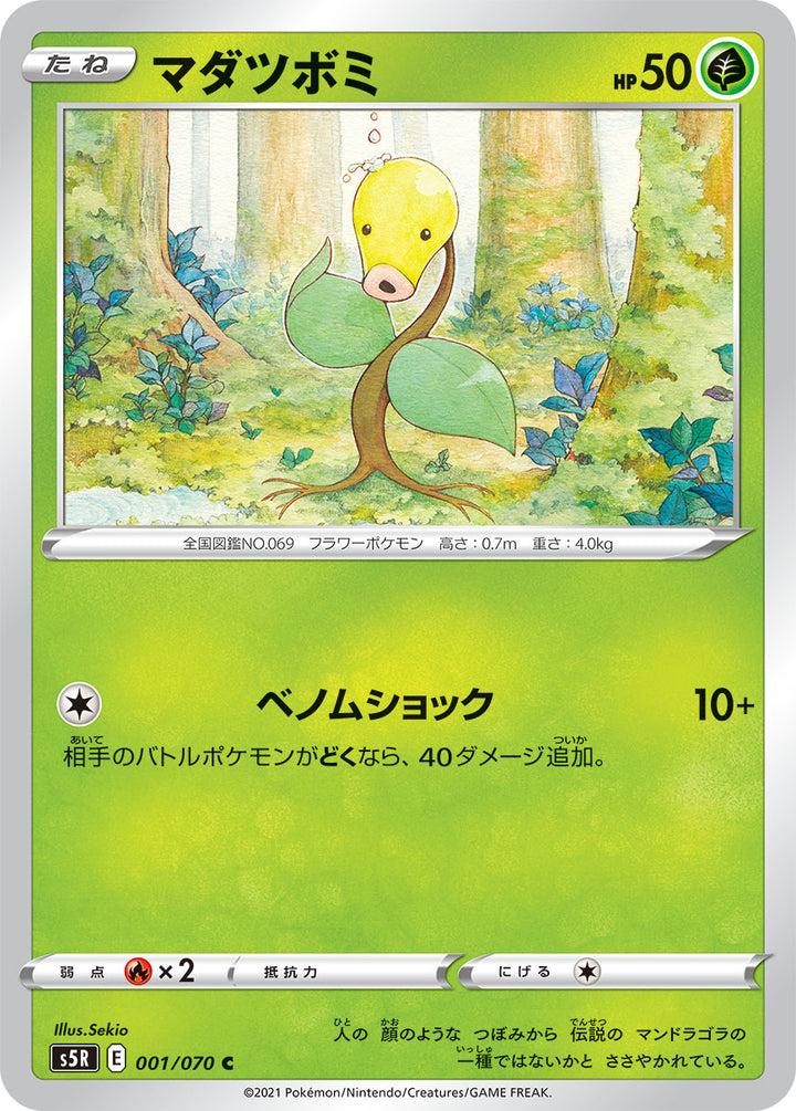 マダツボミ（001/070）［-］