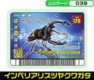 インペリアリスツヤクワガタ（039）［未確定］